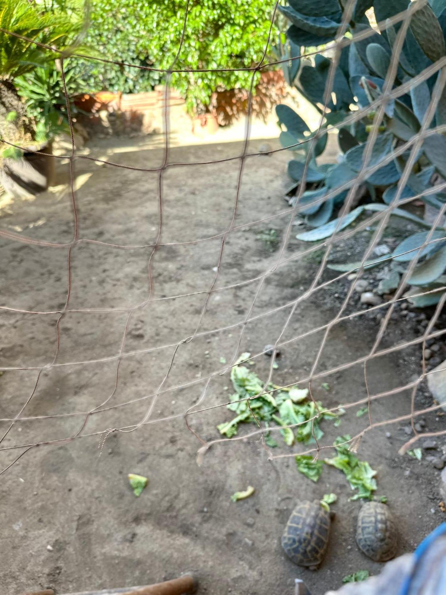 فيلا Garden Of Bitter كاتانيا المظهر الخارجي الصورة